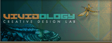 VIVIDOLOGY Creative Design Lab